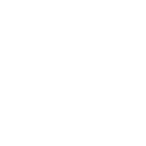 Software
